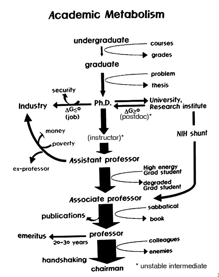 a diagram showing the steps in which students are studying