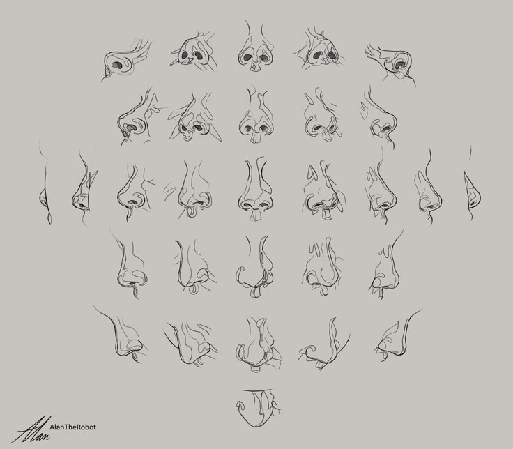 a drawing of the eyes and nose of an animal's head in various positions