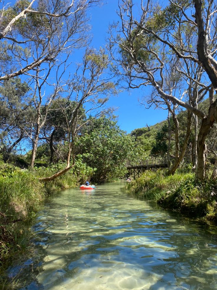 a person in a kayak on a river surrounded by trees