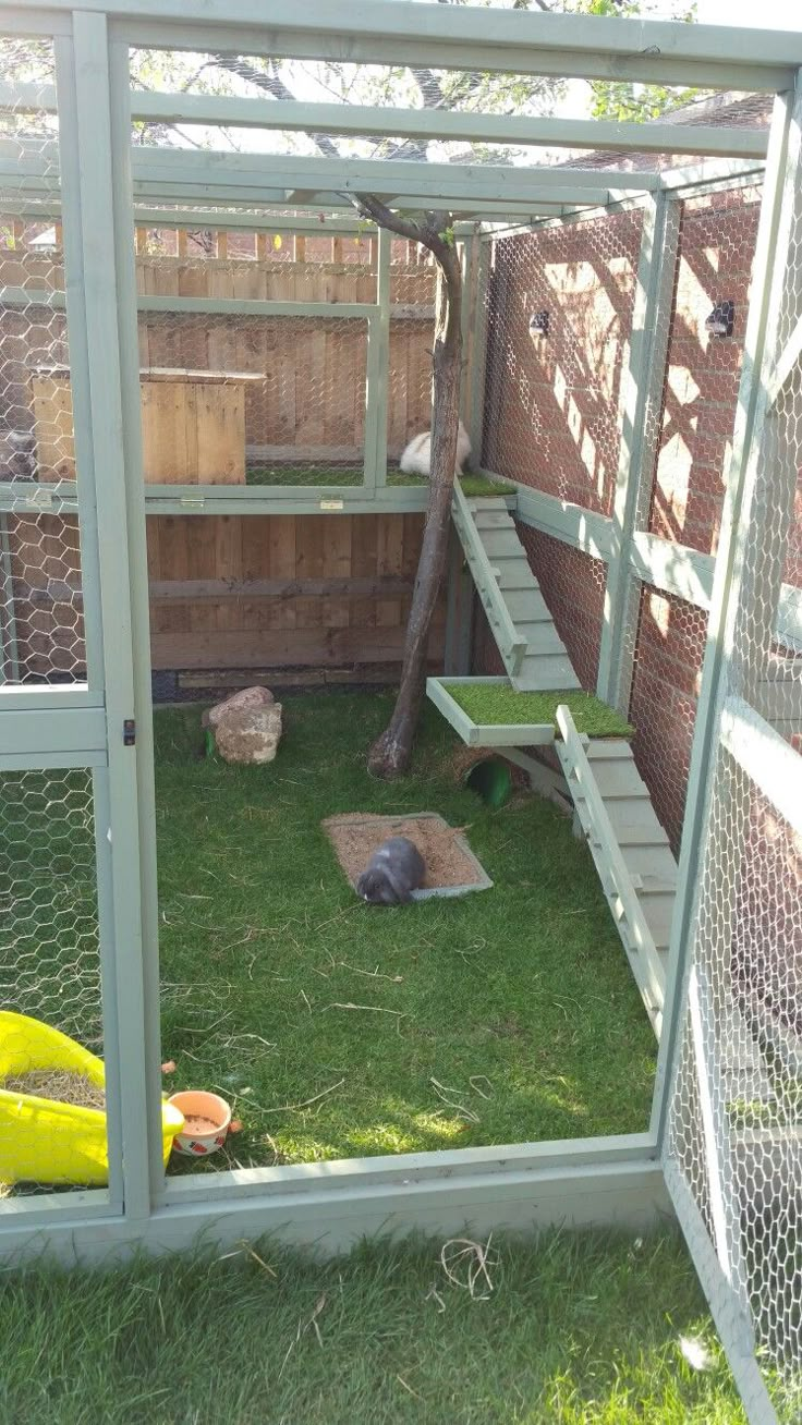 an outdoor area with grass, stairs and other things in the back yard that is fenced off