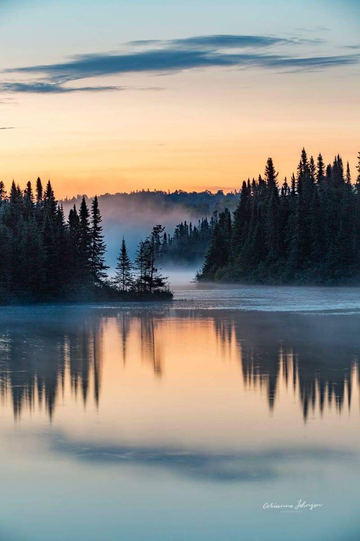 a lake surrounded by trees and fog at sunset