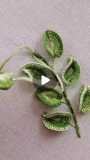 a plant with green leaves is shown on a white tablecloth and has a video screen showing it