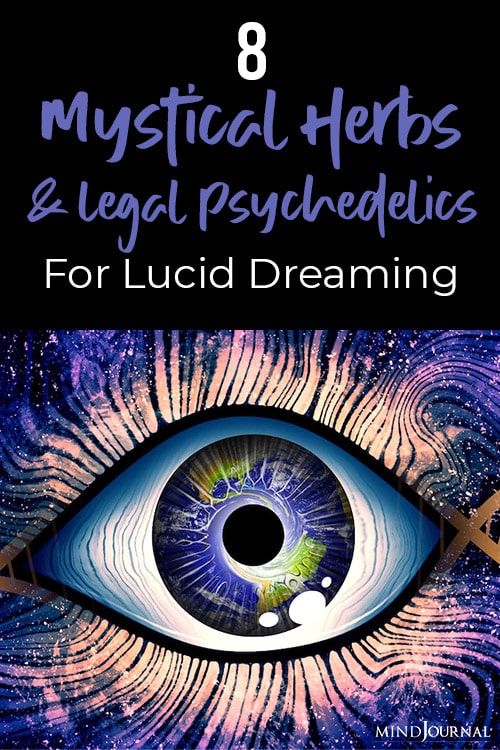 8 Mystical Herbs And Legal Psychedelics For Lucid Dreaming Lucid Dreaming Techniques, Dream Herbs, Psychoactive Plants, Lucid Dreams, Vivid Dreams, Psychic Development, Astral Projection, Quotes By Genres, Brain Waves