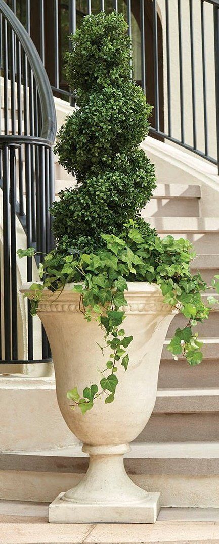 a potted plant is sitting on the steps