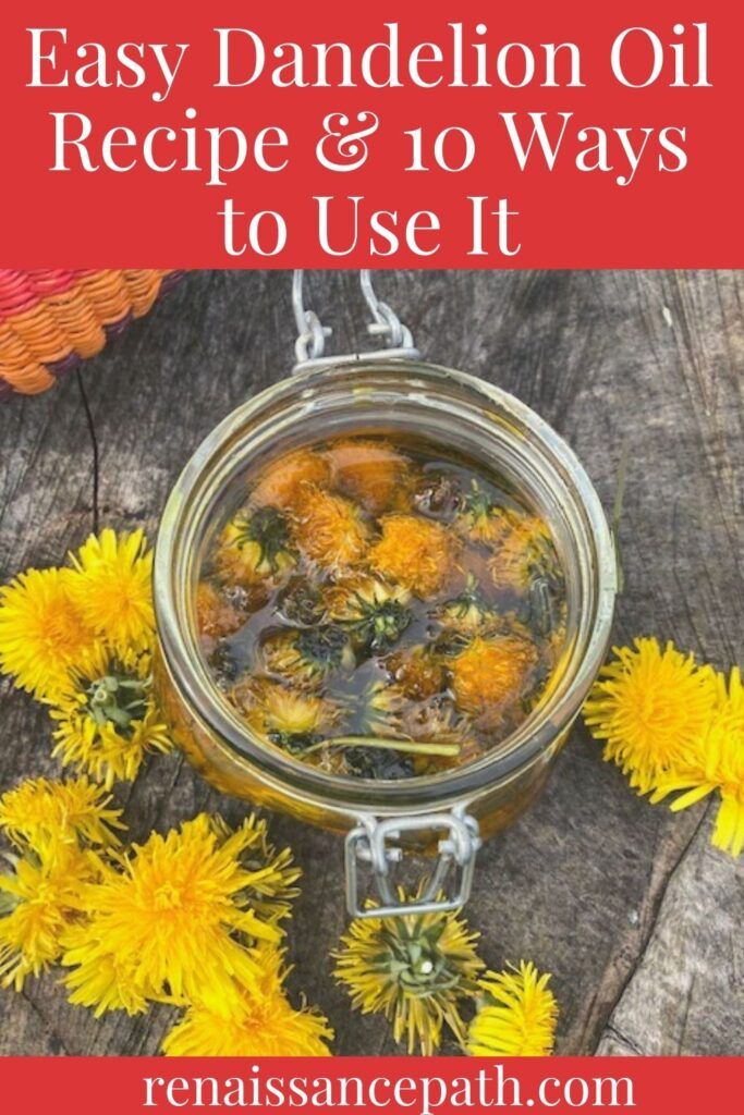 Easy Dandelion Oil Recipe & 10 Ways To Use It Dandelion Infused Oil, Dandelion Oil, Cooking With Turmeric, Infused Oil, Growing Pains, Natural Healing Remedies, Dandelion Recipes, Infused Oils, Natural Therapy