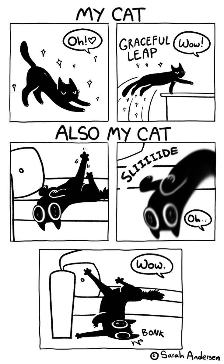 the comic strip shows cats in different ways