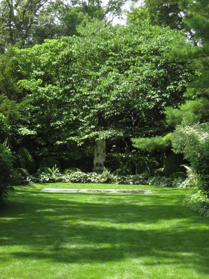 a lush green park with lots of trees