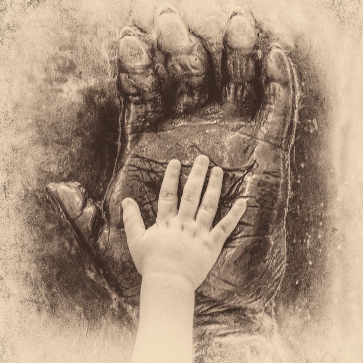 a person's hand reaching out from behind a rock