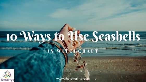 someone holding their hand up to the ocean with text overlaying it that reads 10 ways to use seashells in winecraft