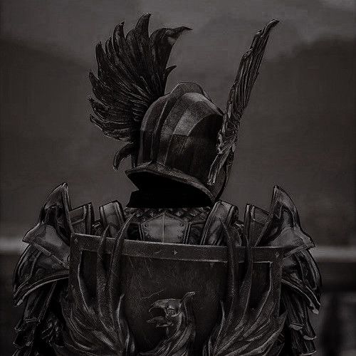 Dark Warrior Aesthetic Men, Knight Pfp Medieval, Dark Fantasy Knight Art, Medieval Knight Aesthetic, Aesthetic Knight, Dark Knight Aesthetic, Paladin Aesthetic, Unique Pfp, Knight Pfp