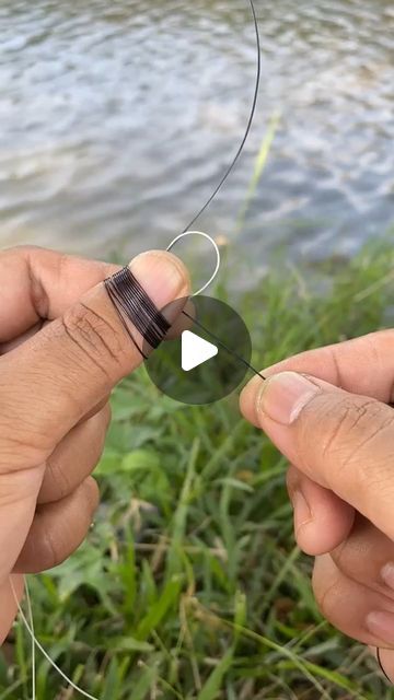 two hands are holding an object in front of the water and grass, while another hand is pointing at it