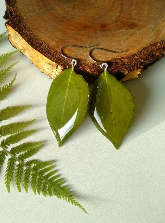 two green leaves are sitting on top of a piece of wood