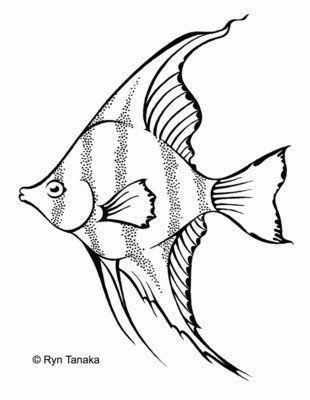 a black and white drawing of a fish