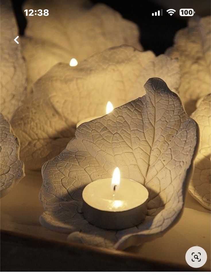 a candle is lit in front of some white cabbages with leaves on the sides