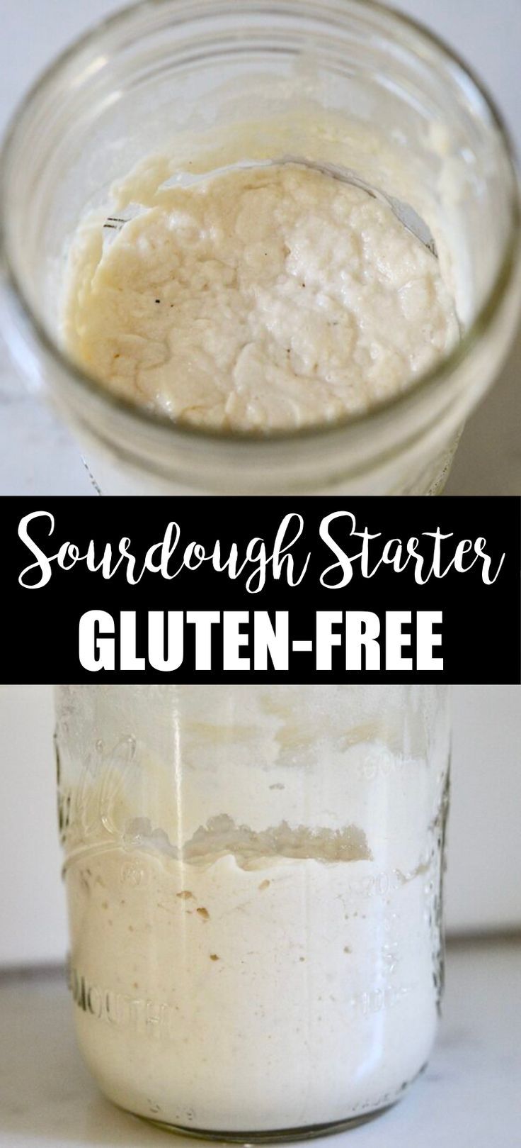 Collage of jarful of gluten-free sourdough starter at top and bottom. Gluten Free Sourdough Starter, Gluten Free Sourdough Bread, Pan Sin Gluten, Gluten Free Sourdough, Sorghum Flour, Sourdough Starter Recipe, Gluten Free Recipes Bread, Gf Bread, Homemade Gluten Free