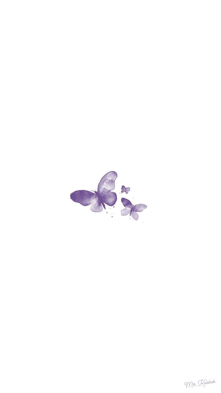 two purple butterflies flying in the sky