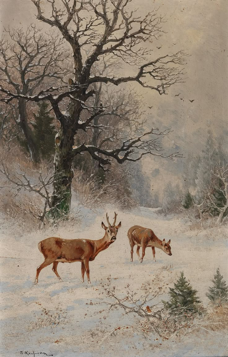 two deer standing in the snow next to a tree