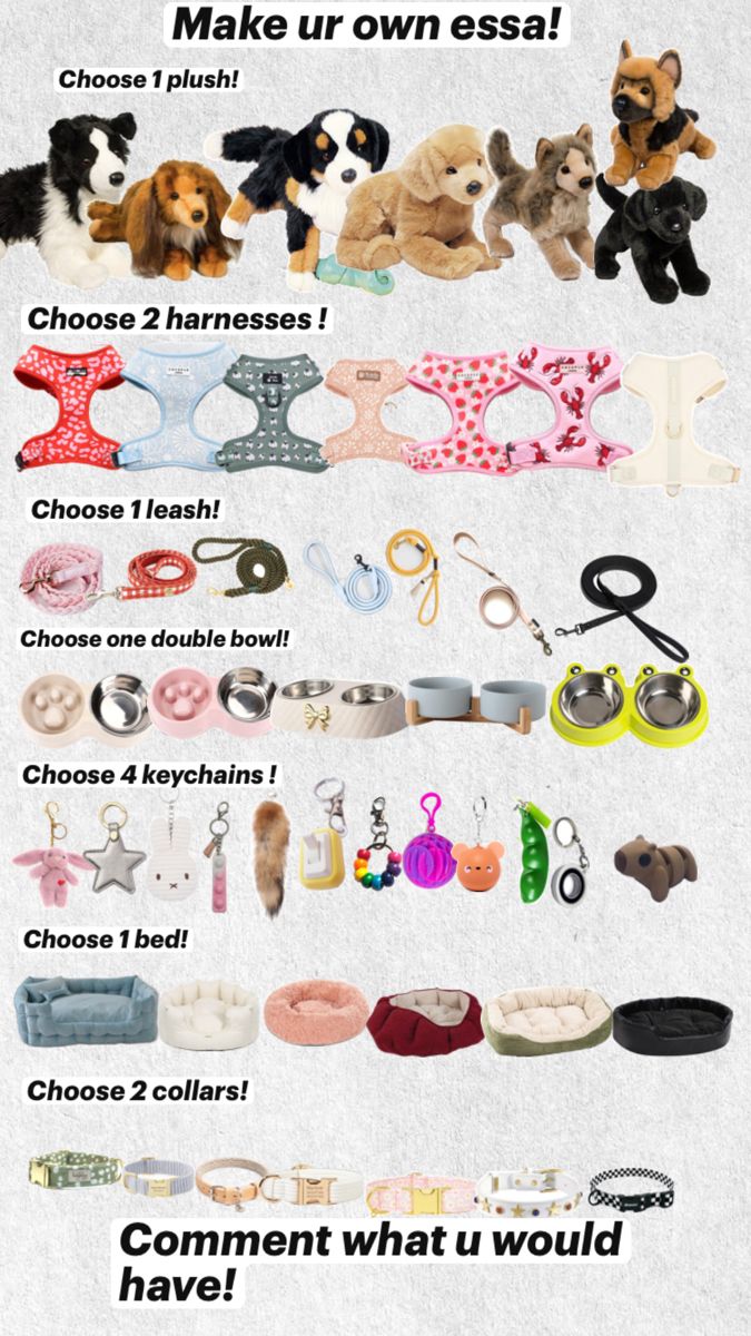 an info sheet with different types of dog collars and leashes on it's sides