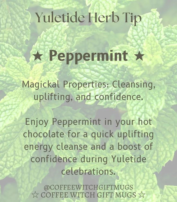 💚 Peppermint 💚 💚 Magickal Properties: Cleansing, uplifting, and confidence. 💚 Enjoy Peppermint in your hot chocolate for a quick uplifting energy cleanse and a boost of confidence during Yuletide celebrations. 🎄 Grab my Herbs For Yuletide quick reference grimoire page featuring 7 herbal correspondences for your holiday magic 🎄 Herb Meanings, Peppermint Herb, Witchcraft Herbs, Witch Coffee, Magickal Herbs, Witch Herbs, Herbal Magic For Wiccans, Grimoire Book, Magic Herbs