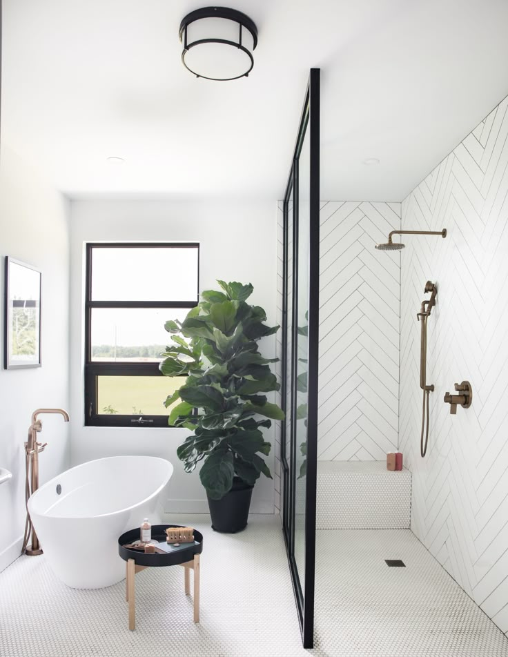 a bathroom with a plant in the corner and a white bathtub next to it