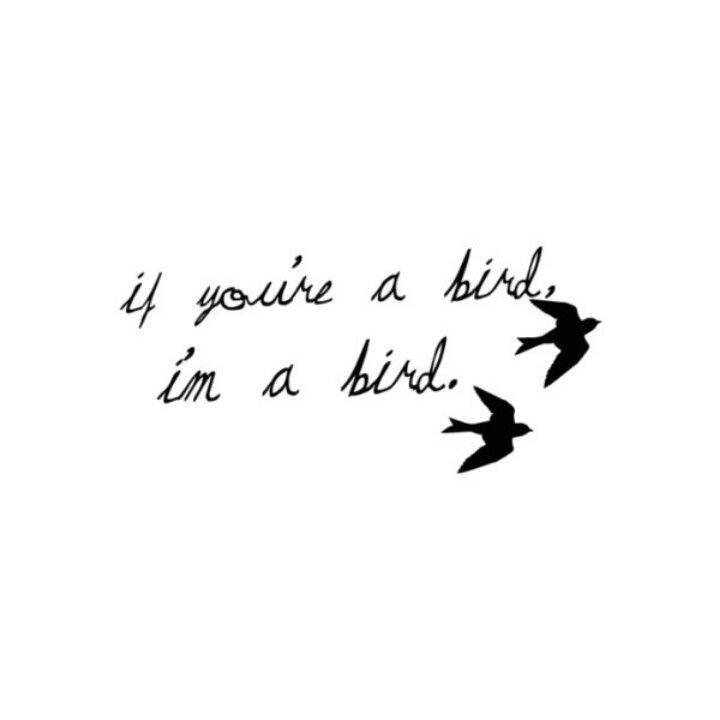 three birds flying in the sky with words written on their backs, and one bird has its