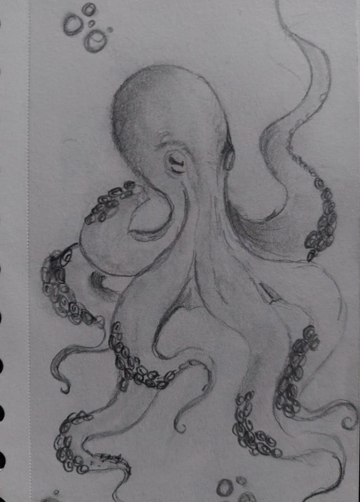 an octopus with chains on it's neck is shown in this pencil drawing by the artist