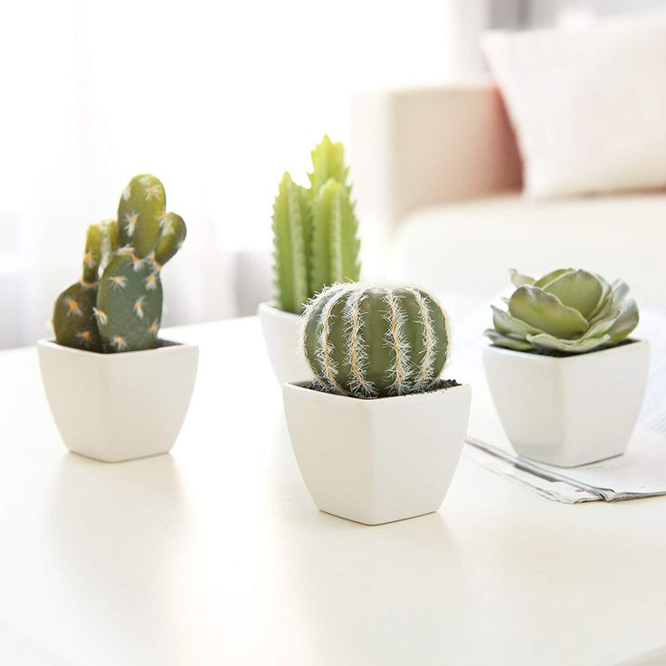 three different types of cactus in small white pots on a table next to a couch