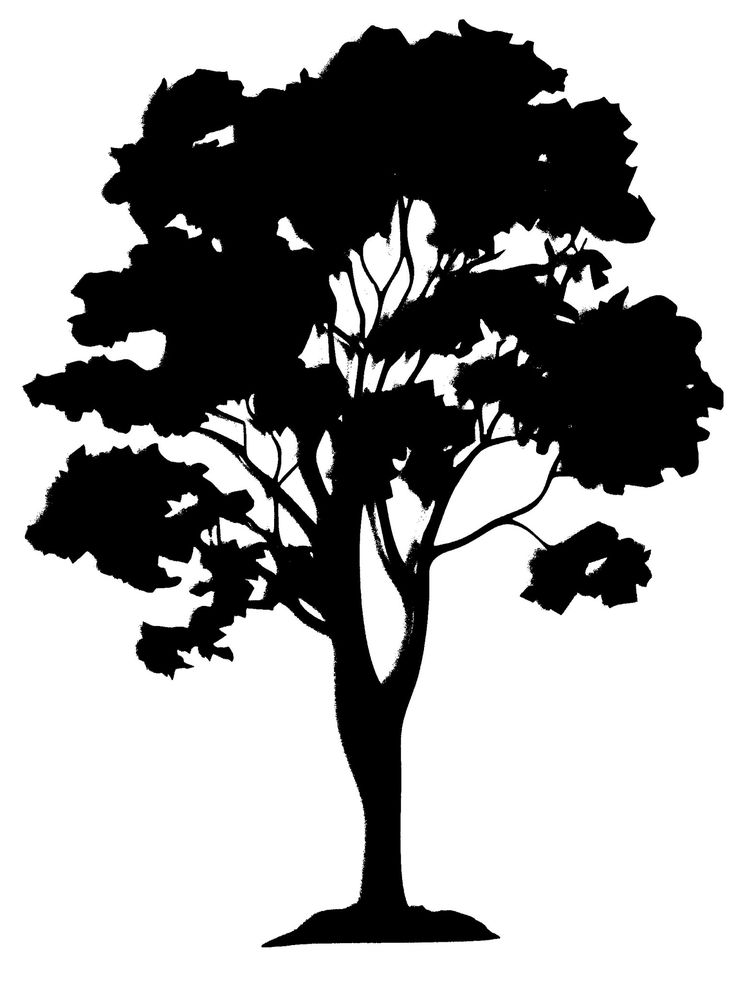 a black and white silhouette of a tree