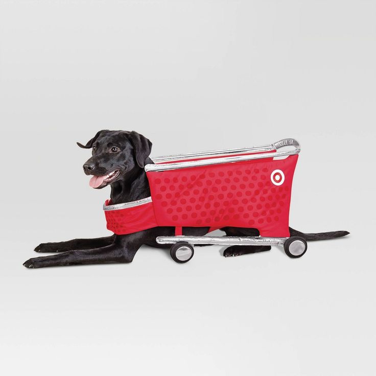 a black dog sitting on top of a cart with a red bag attached to it