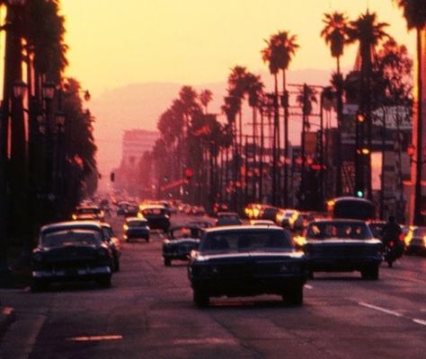 cars are driving down the street at dusk with palm trees in the background and traffic lights on both sides