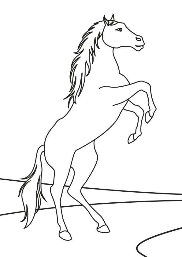 a horse that is standing on its hind legs