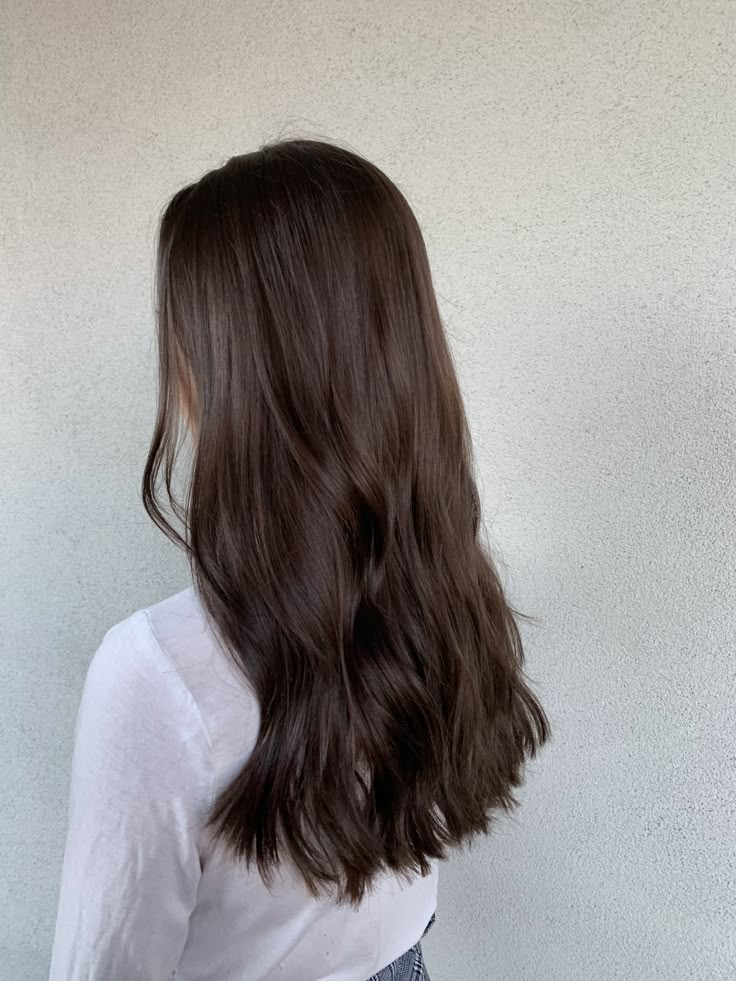 Brown Medium Short Hair, Long Dark Brown Hair Cool Tone, Chocolate Brown Brunette Hair, Milk Chocolate Brown Hair With Lowlights, Trendy Haircuts For Thick Long Hair, Level 6 Neutral Brown Hair, Chocolate Brown Summer Hair, Prettiest Brown Hair Color, Medium Brown Hair Solid Color