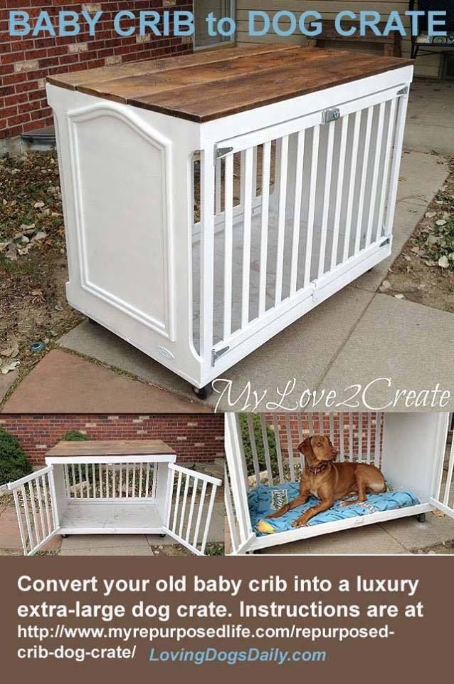 an image of a dog crate that is made to look like it has been built into the ground