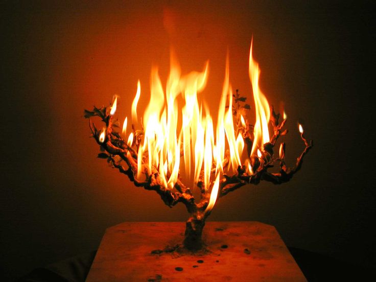 a close up of a fire sculpture on a table