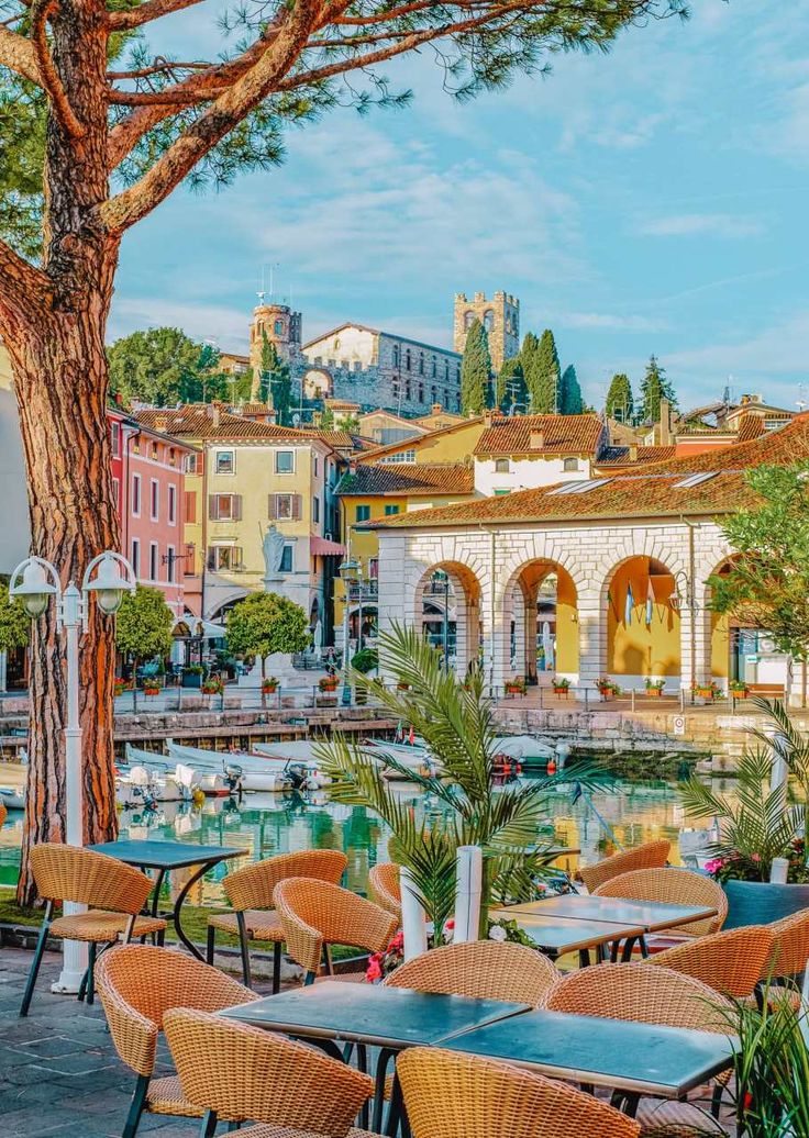 an outdoor restaurant with tables and chairs next to a tree in front of the water