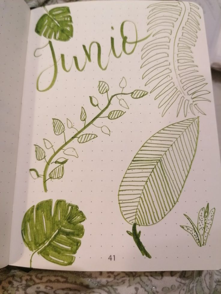 an open notebook with the word june written in cursive writing and green leaves