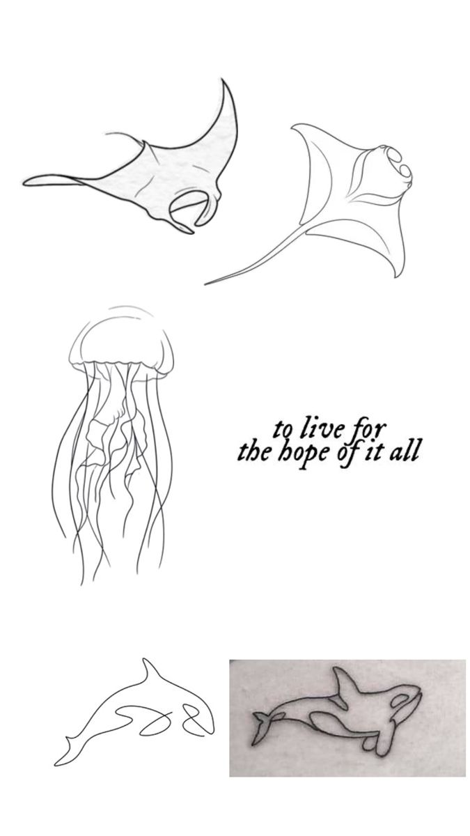 four different types of sea animals with the words, i love for the shape of it all