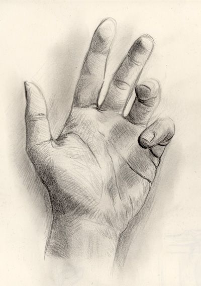 a pencil drawing of a hand holding something in it's right hand with the middle finger extended