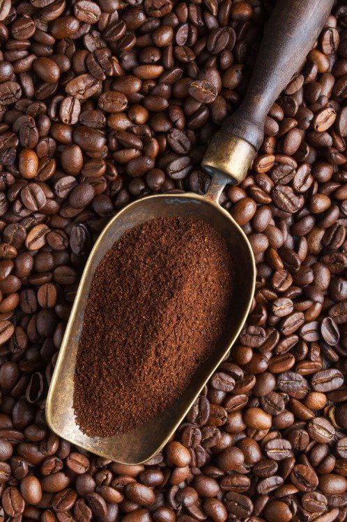 coffee beans and scoop with ground coffee on top