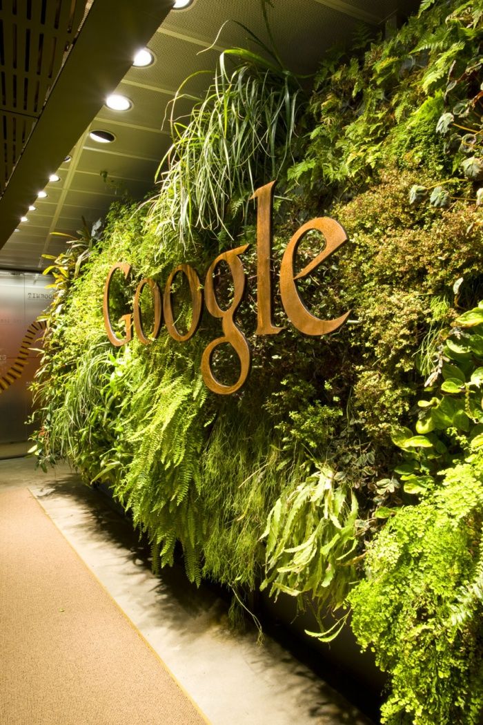 the google logo is surrounded by green plants and foliage on display in an office building