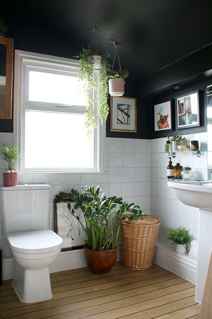 a white toilet sitting in a bathroom next to a window with potted plants on it