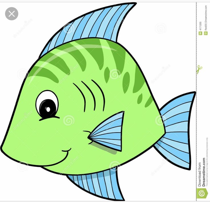 a green fish with blue stripes