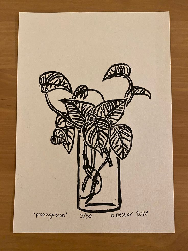 a drawing of a plant in a glass vase