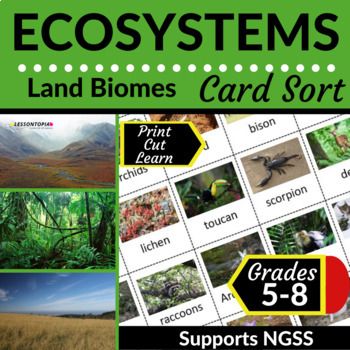 the cover of an ecosytems land biomes card sort with pictures of plants and animals