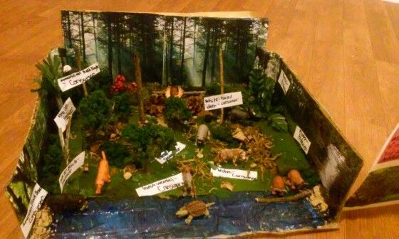 an open cardboard box filled with lots of different types of plants and animals on top of a wooden floor