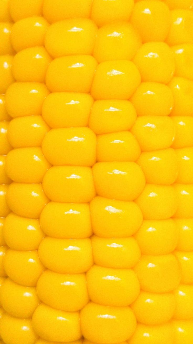 corn on the cob is shown in close up