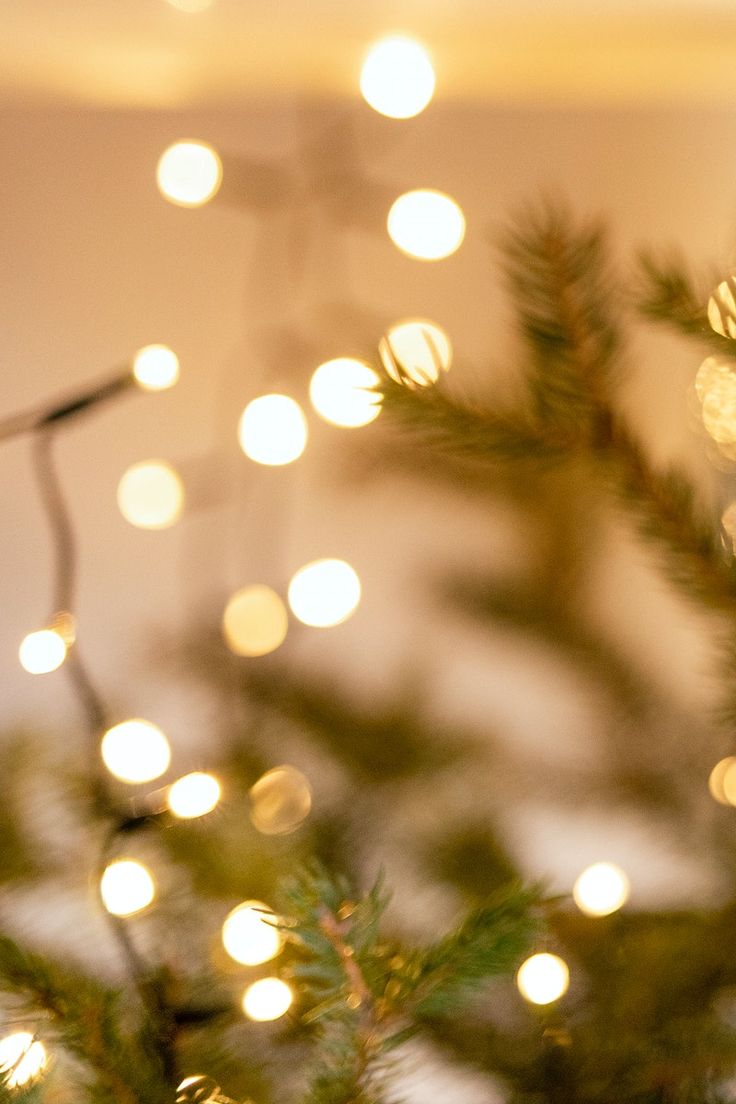 a close up of a christmas tree with lights on the branches and in the background