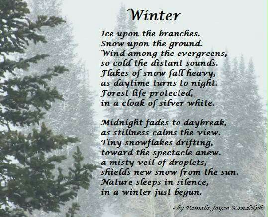 a poem written in the snow with pine trees behind it and an image of winter