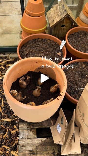 several pots filled with dirt sitting on top of a wooden pallet next to plants