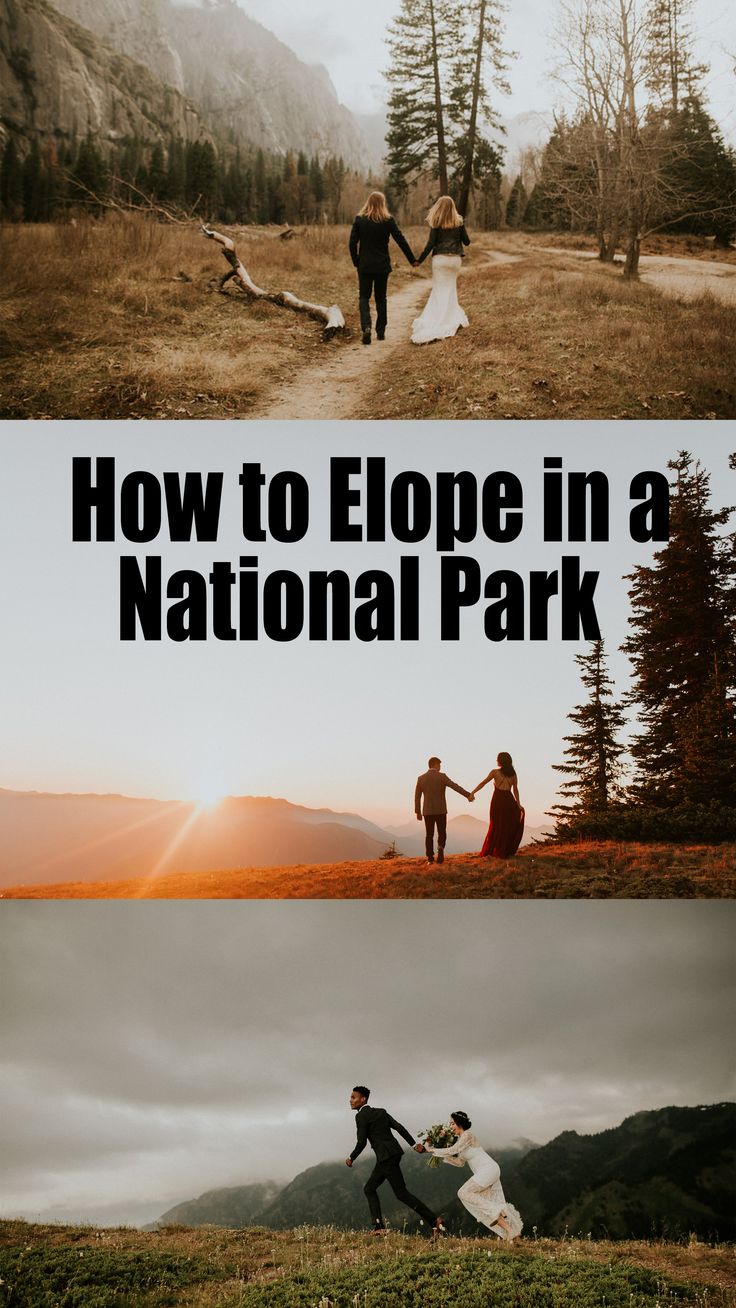 two people holding hands while standing on top of a grass covered hill with the words how to elope in a national park